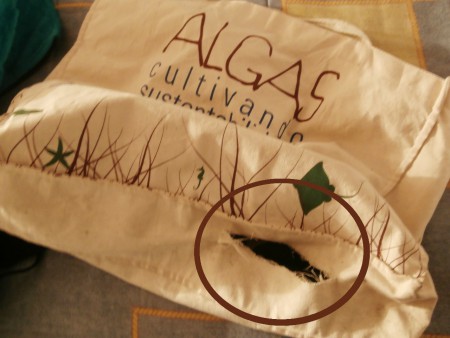 Ja, inderdaad. Dit was een poging tot diefstal!!